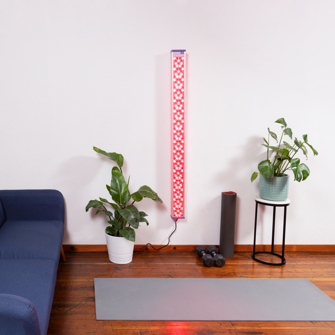 Large Fixed Wall Mount (CORE & FULL BODY)